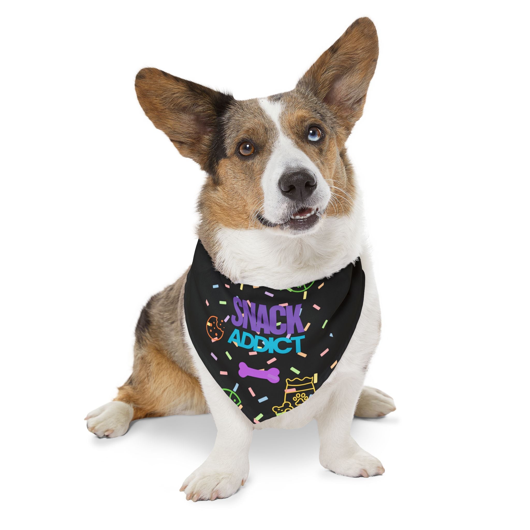 Bandana Collar