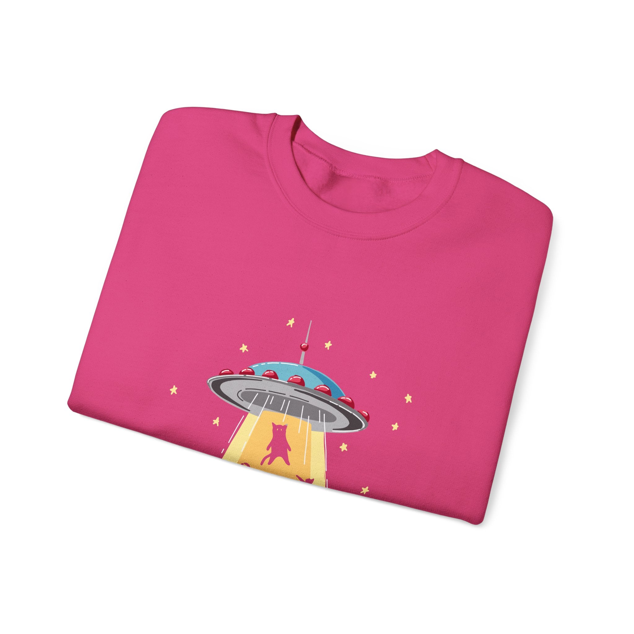 Cat Lover Sweatshirt - Cat Spaceshirt