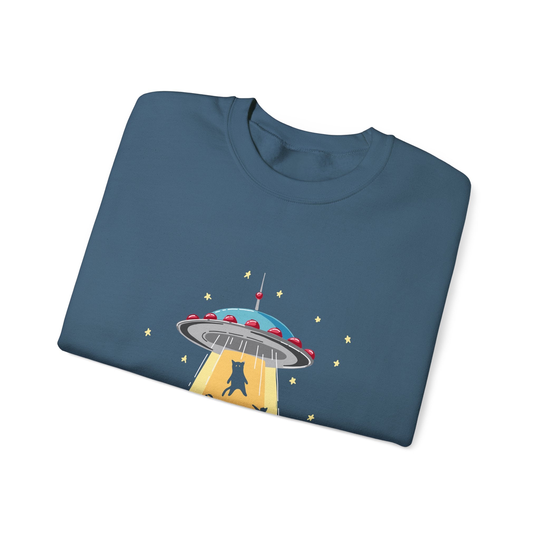 Cat Lover Sweatshirt - Cat Spaceshirt
