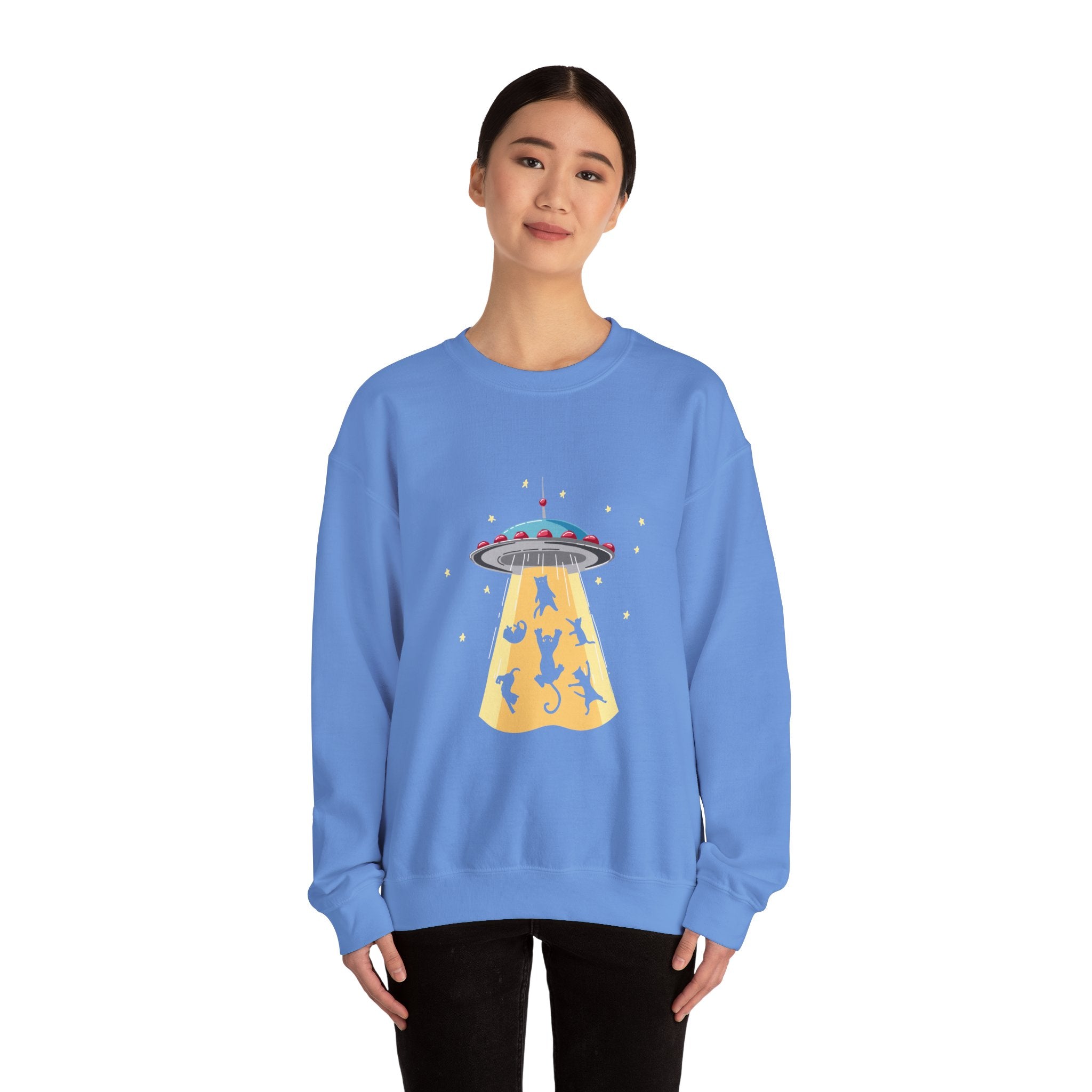Cat Lover Sweatshirt - Cat Spaceshirt