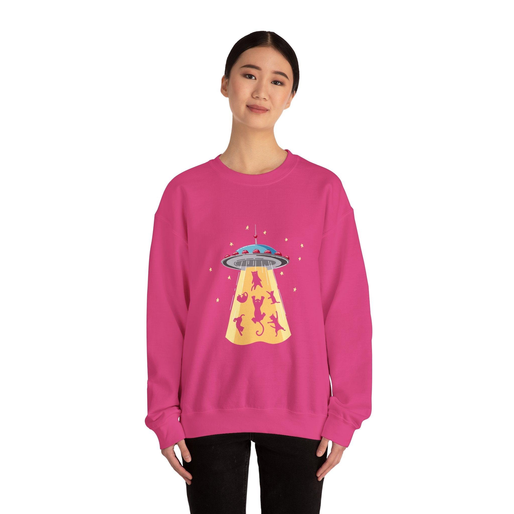 Cat Lover Sweatshirt - Cat Spaceshirt