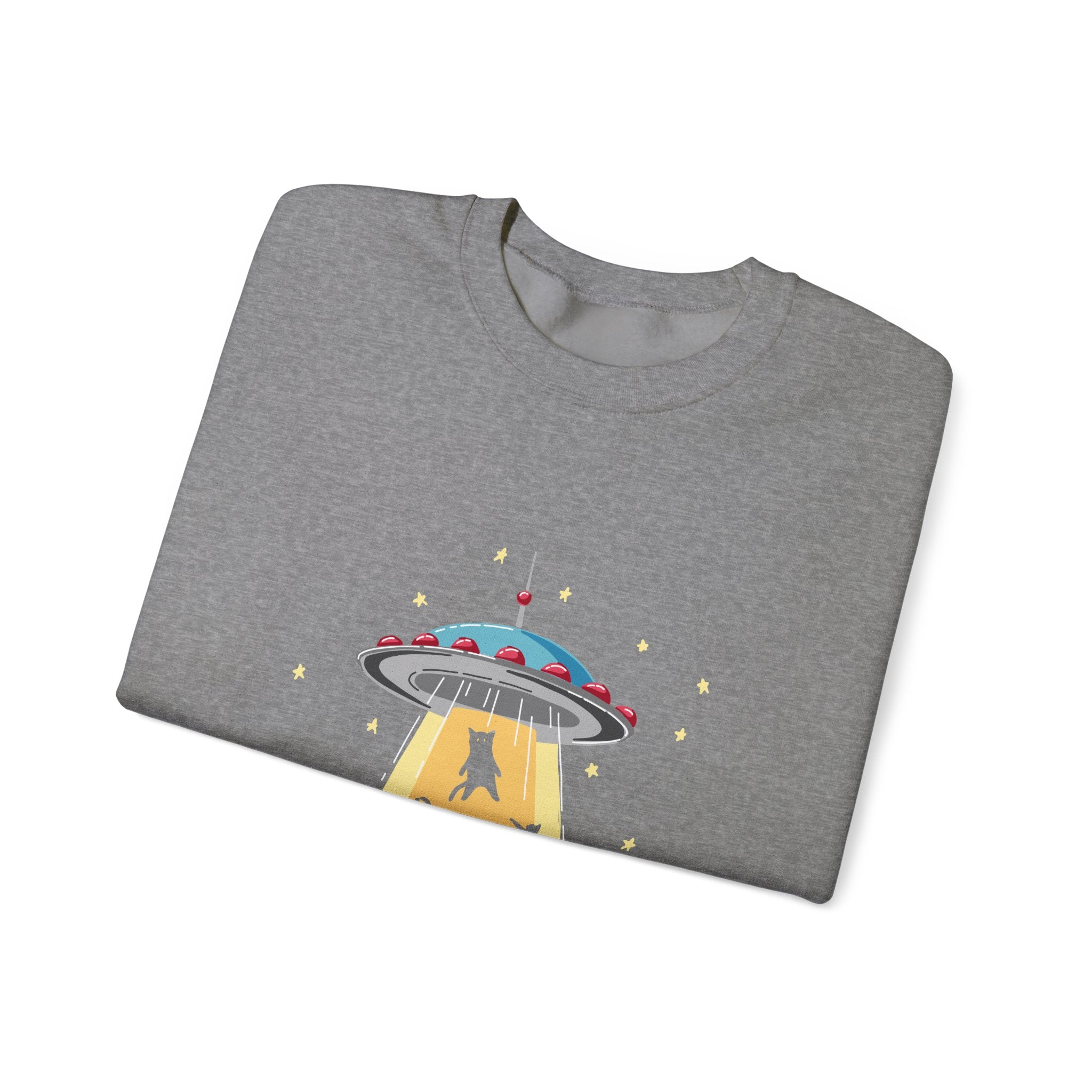 Cat Lover Sweatshirt - Cat Spaceshirt