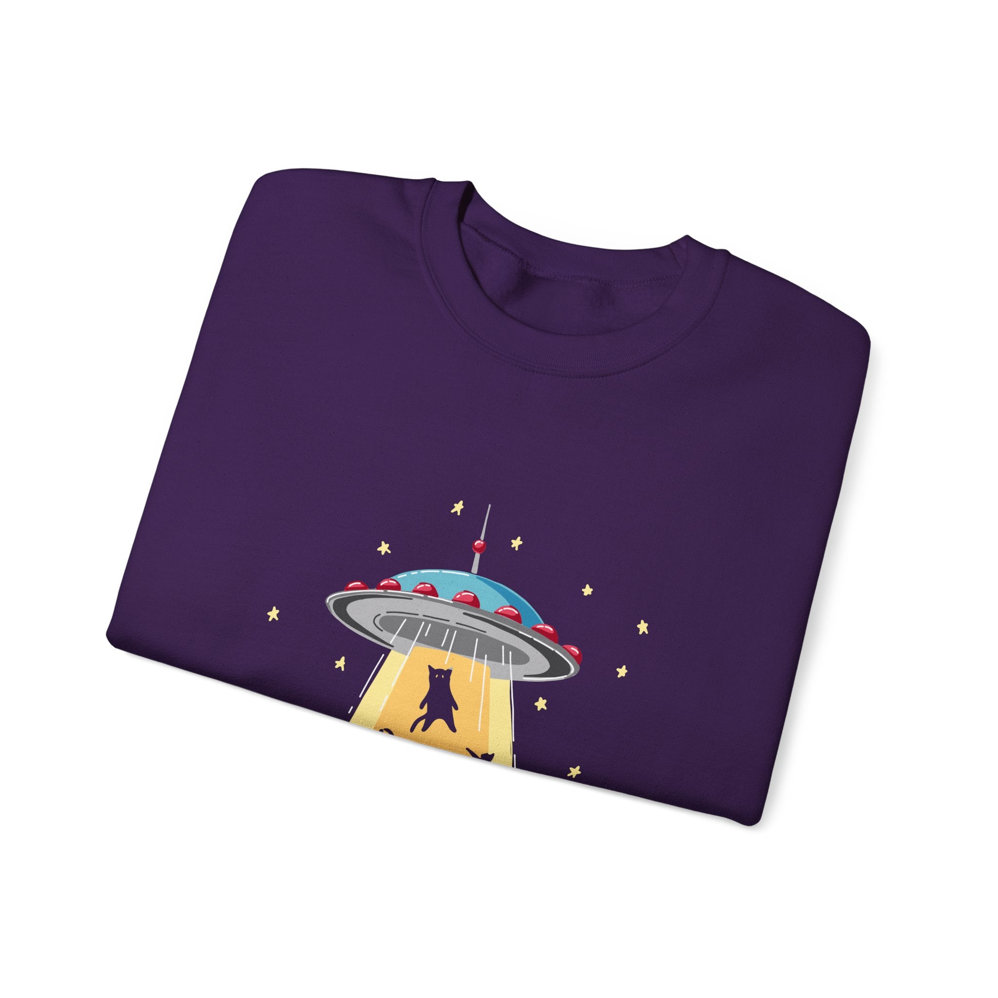 Cat Lover Sweatshirt - Cat Spaceshirt