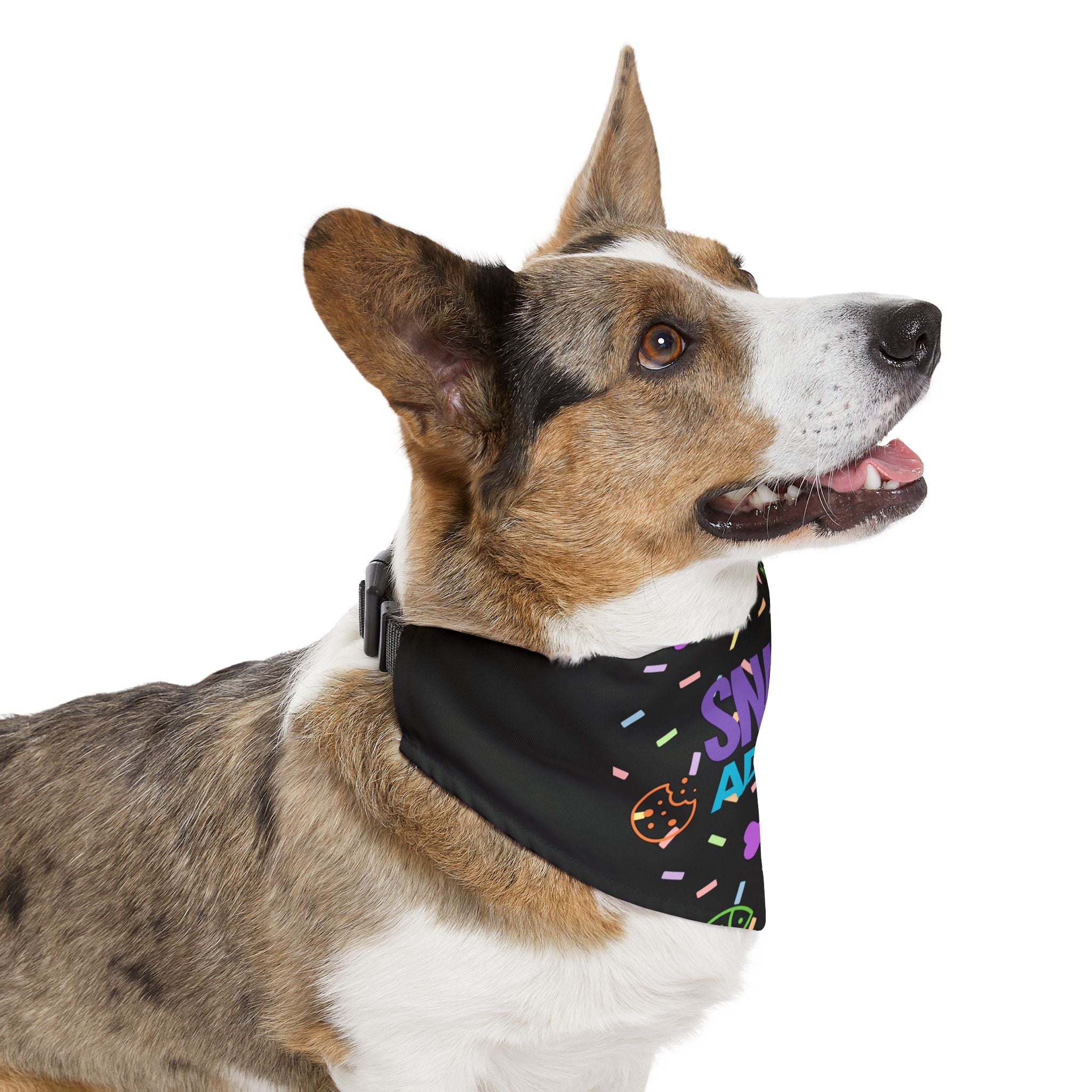 Bandana Collar