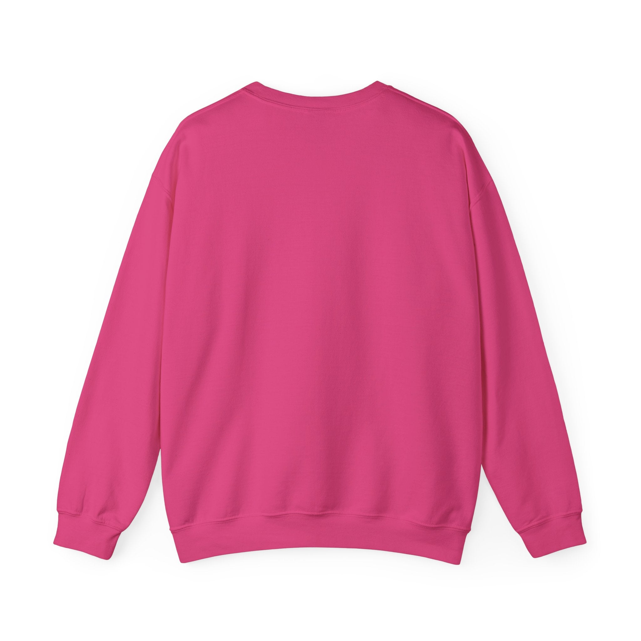 Cat Lover Sweatshirt - Cat Spaceshirt