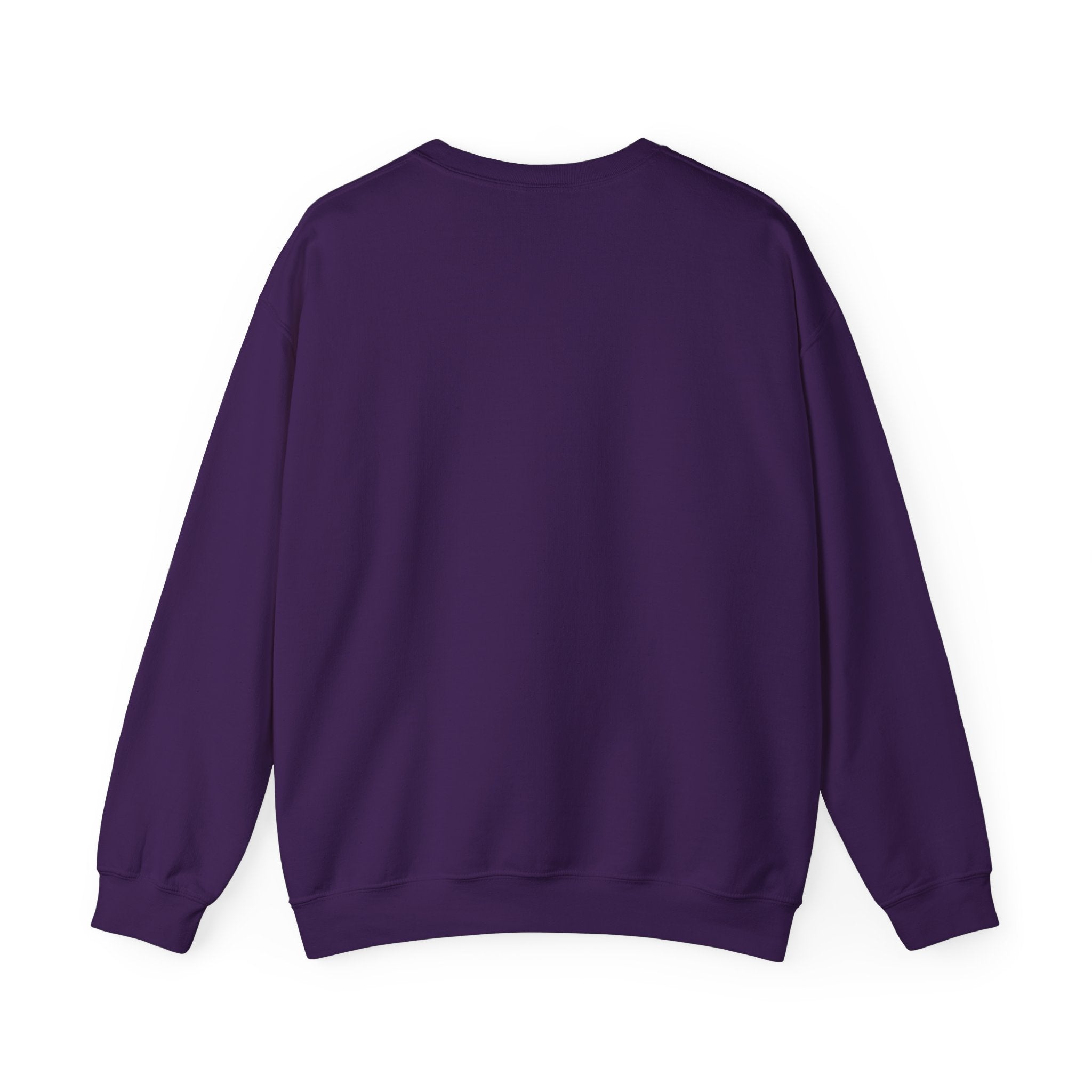 Cat Lover Sweatshirt - Cat Spaceshirt