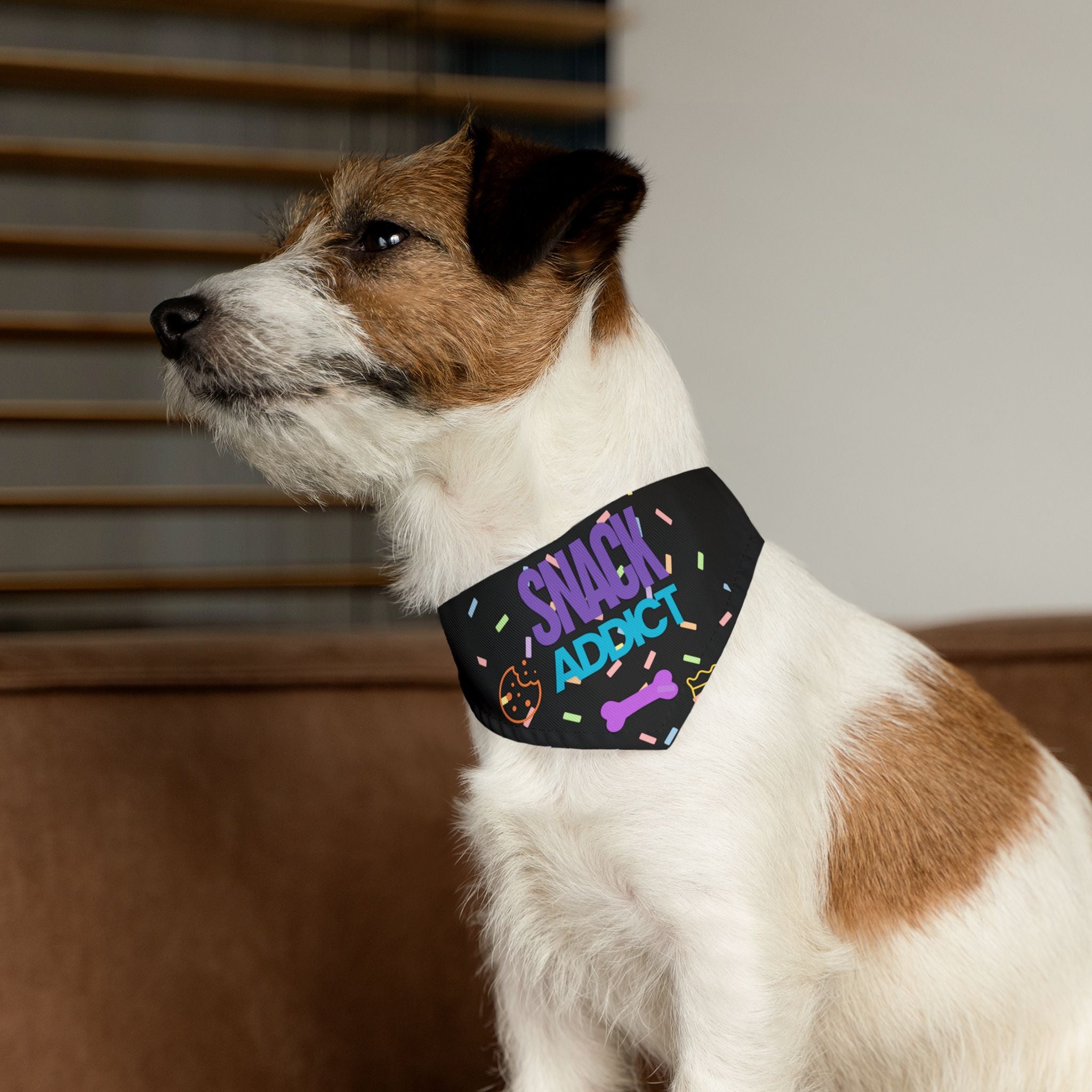 Bandana Collar