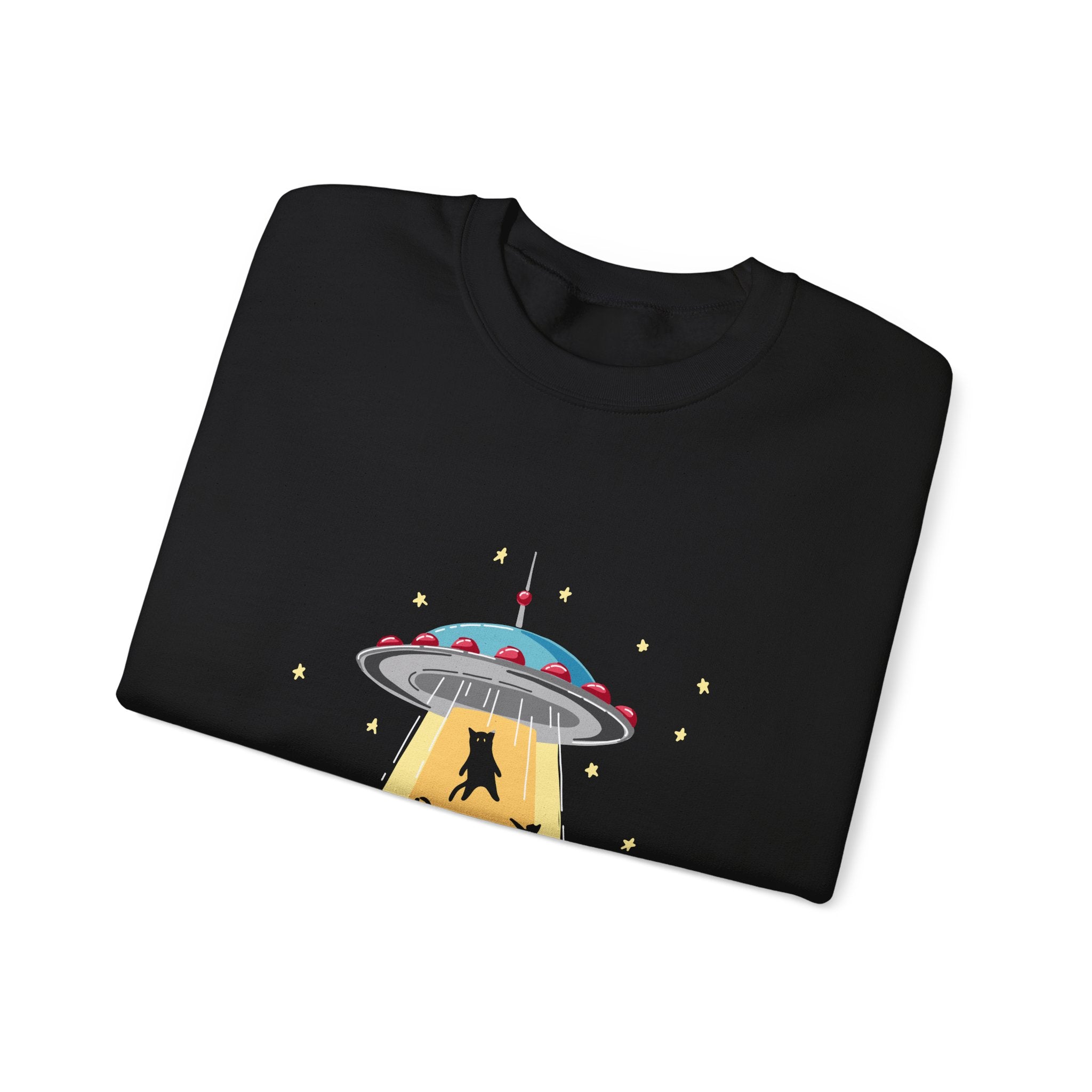 Cat Lover Sweatshirt - Cat Spaceshirt