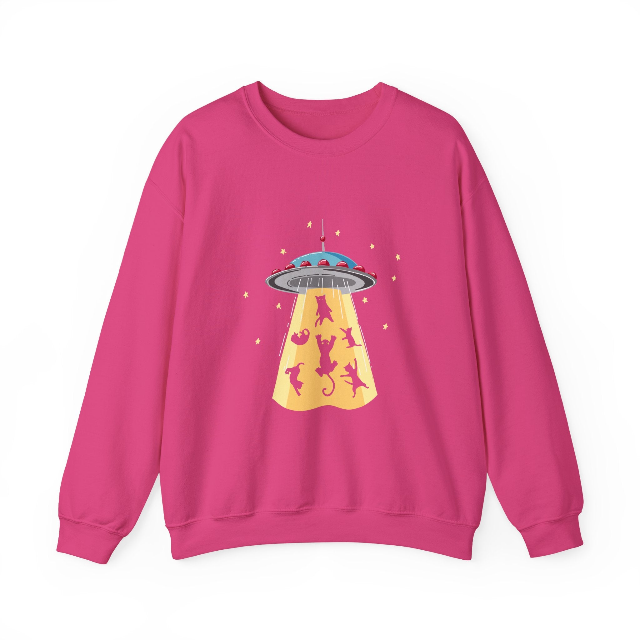 Cat Lover Sweatshirt - Cat Spaceshirt