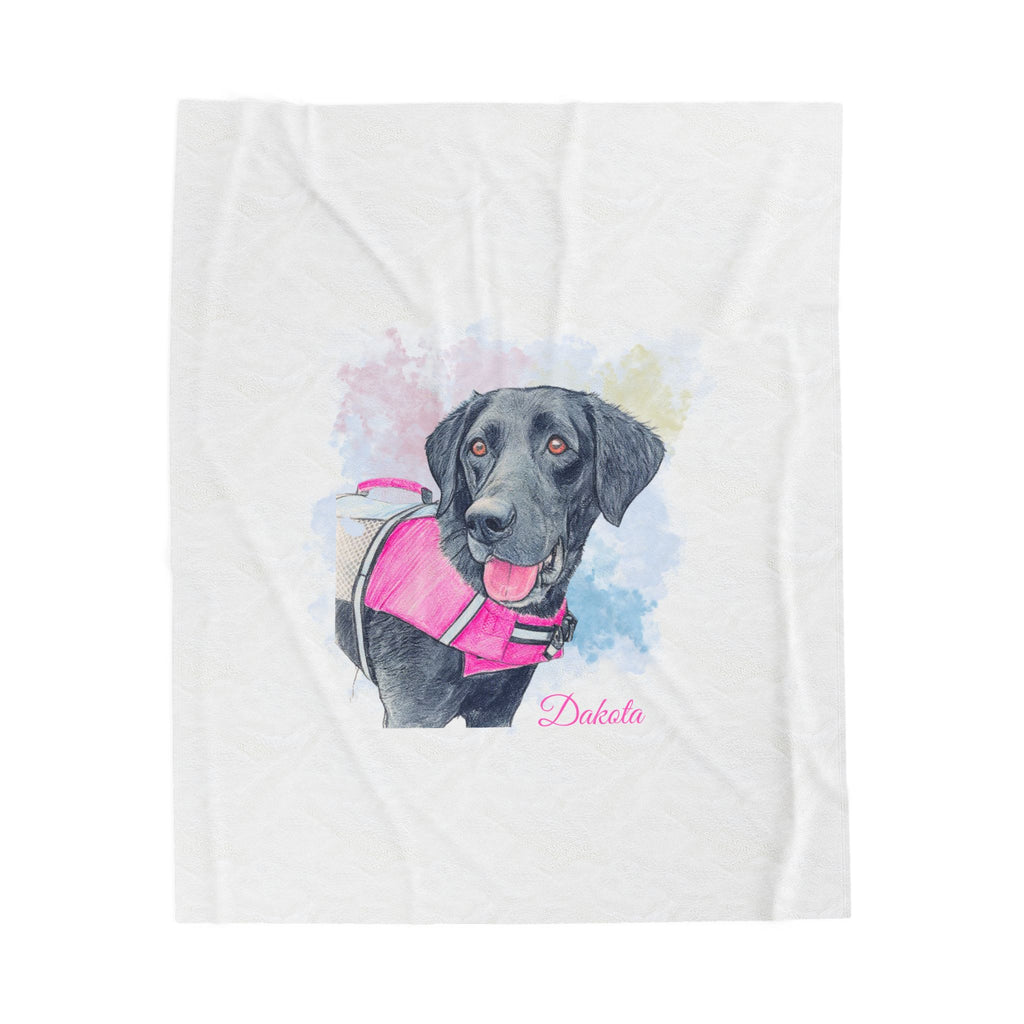 Plush Pet Sketch Blanket