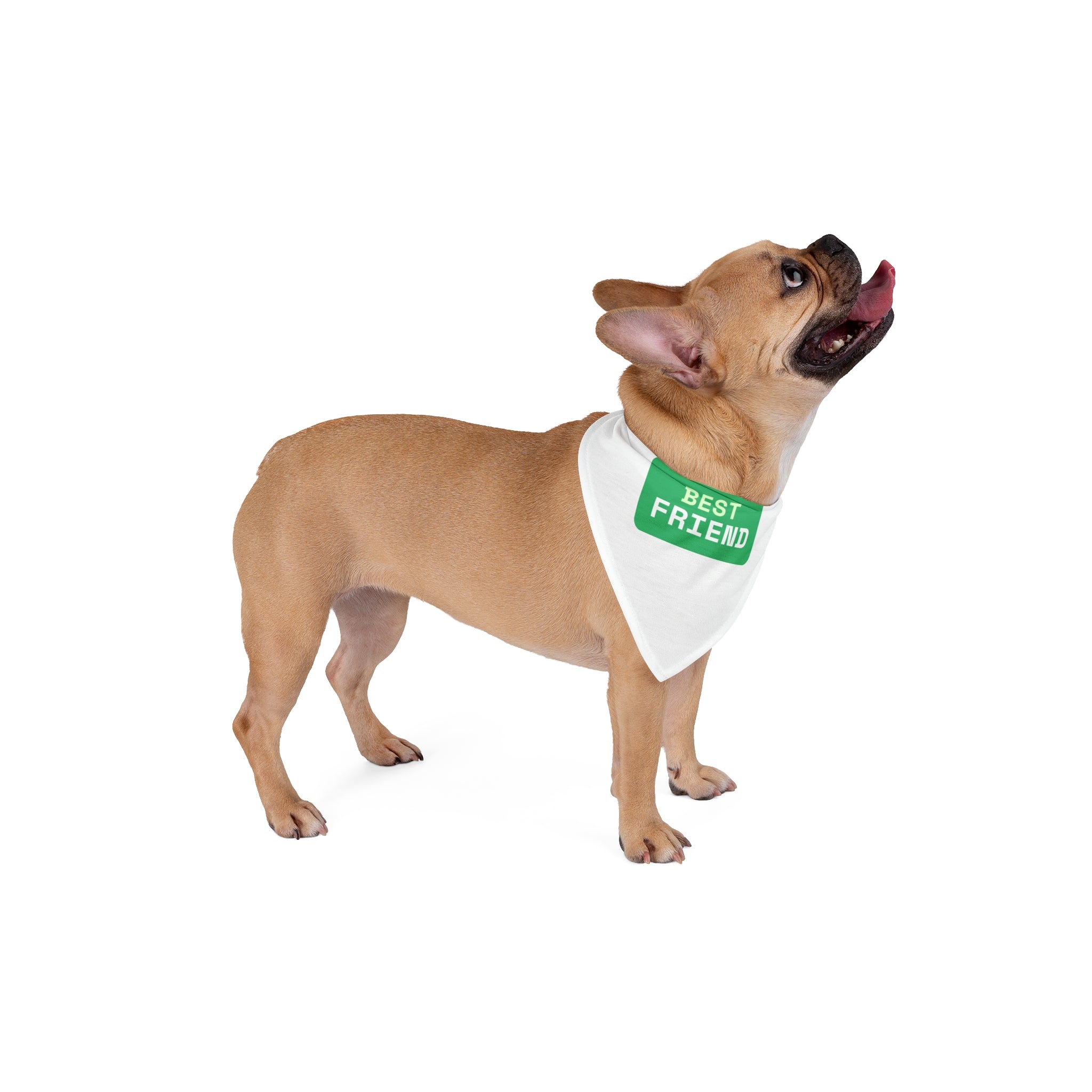 Best Friend Pet Bandana Set - White