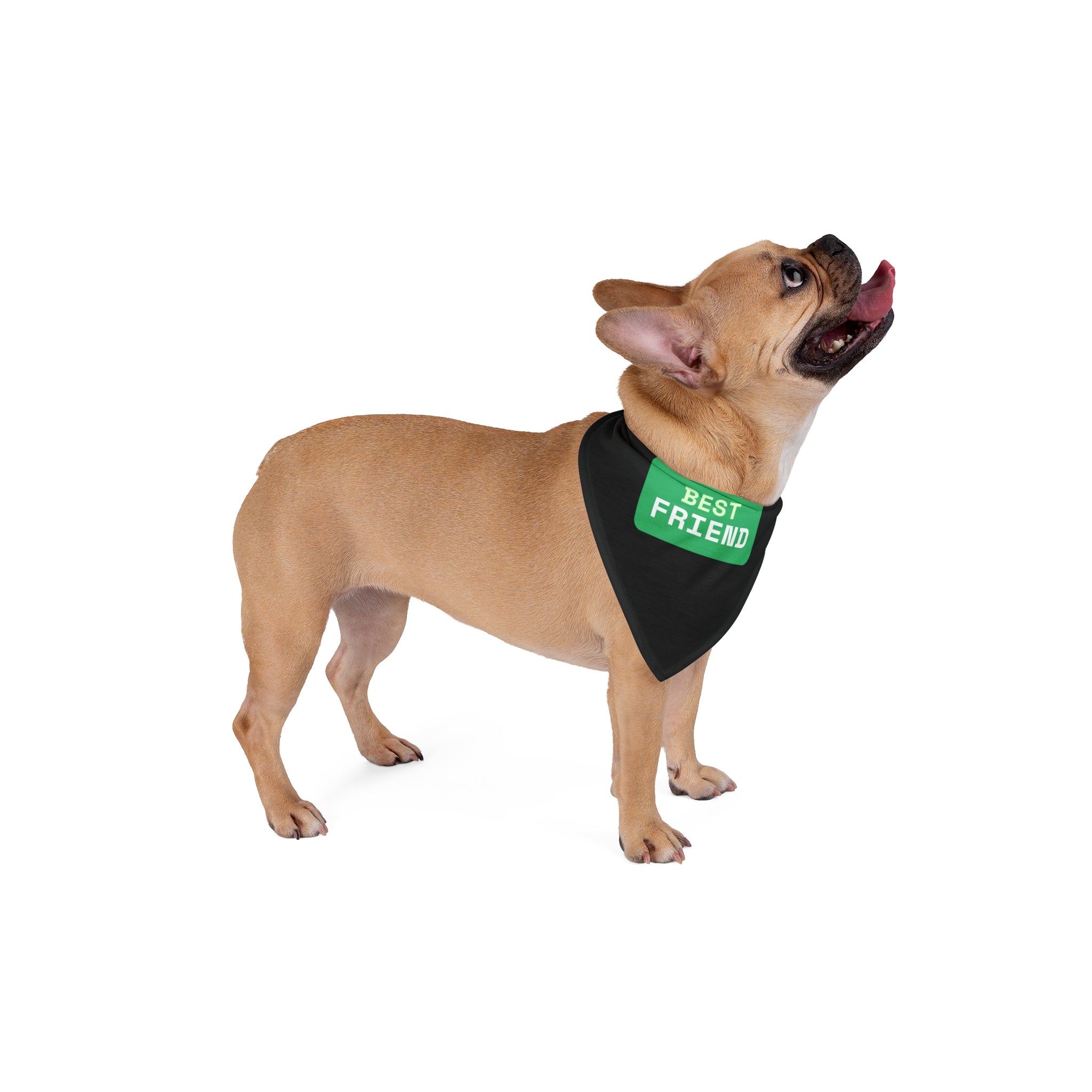 Best Friend Pet Bandana Set - Black